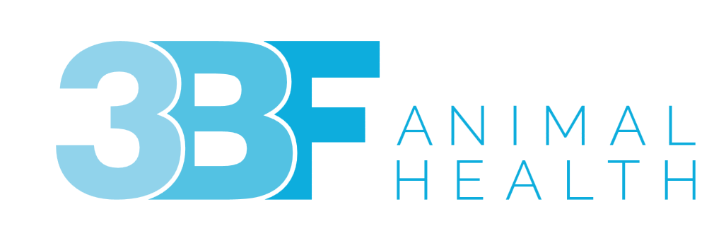 3BF