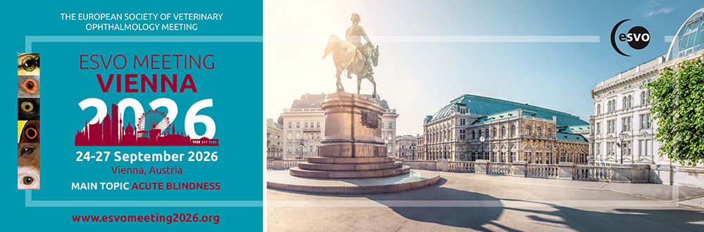 ESVO 2026 Web Banner 1080×330 preview