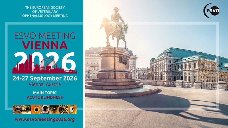 ESVO 2026 Signature Banner preview
